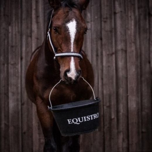 Horse with a bucket